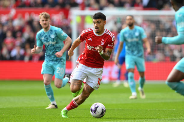 葡体多年来 葡体多年来